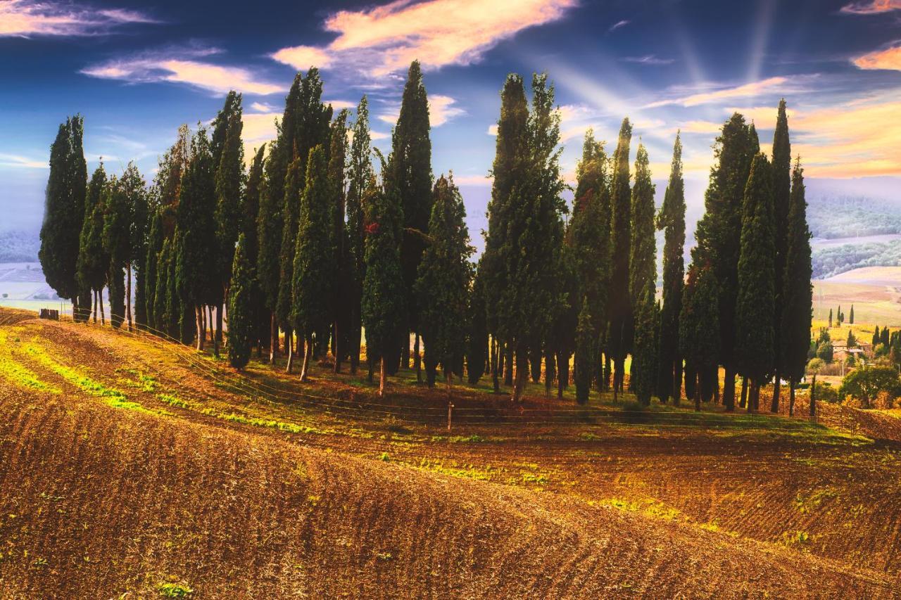 Podere Pietreta 拉迪科法尼 外观 照片